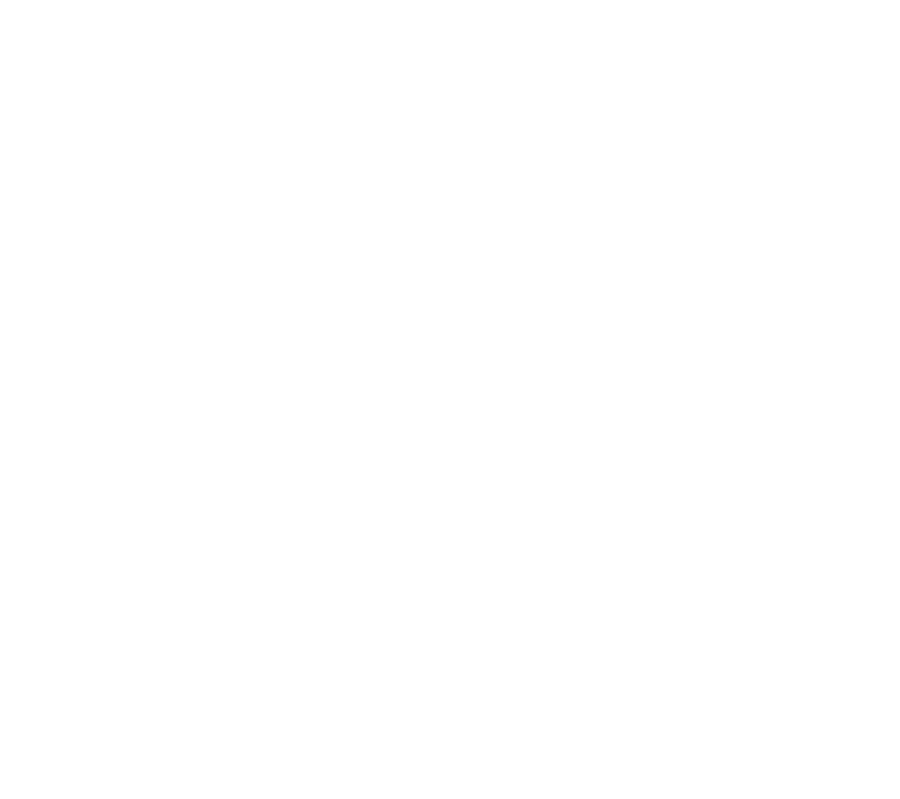 Intercongress GmbH